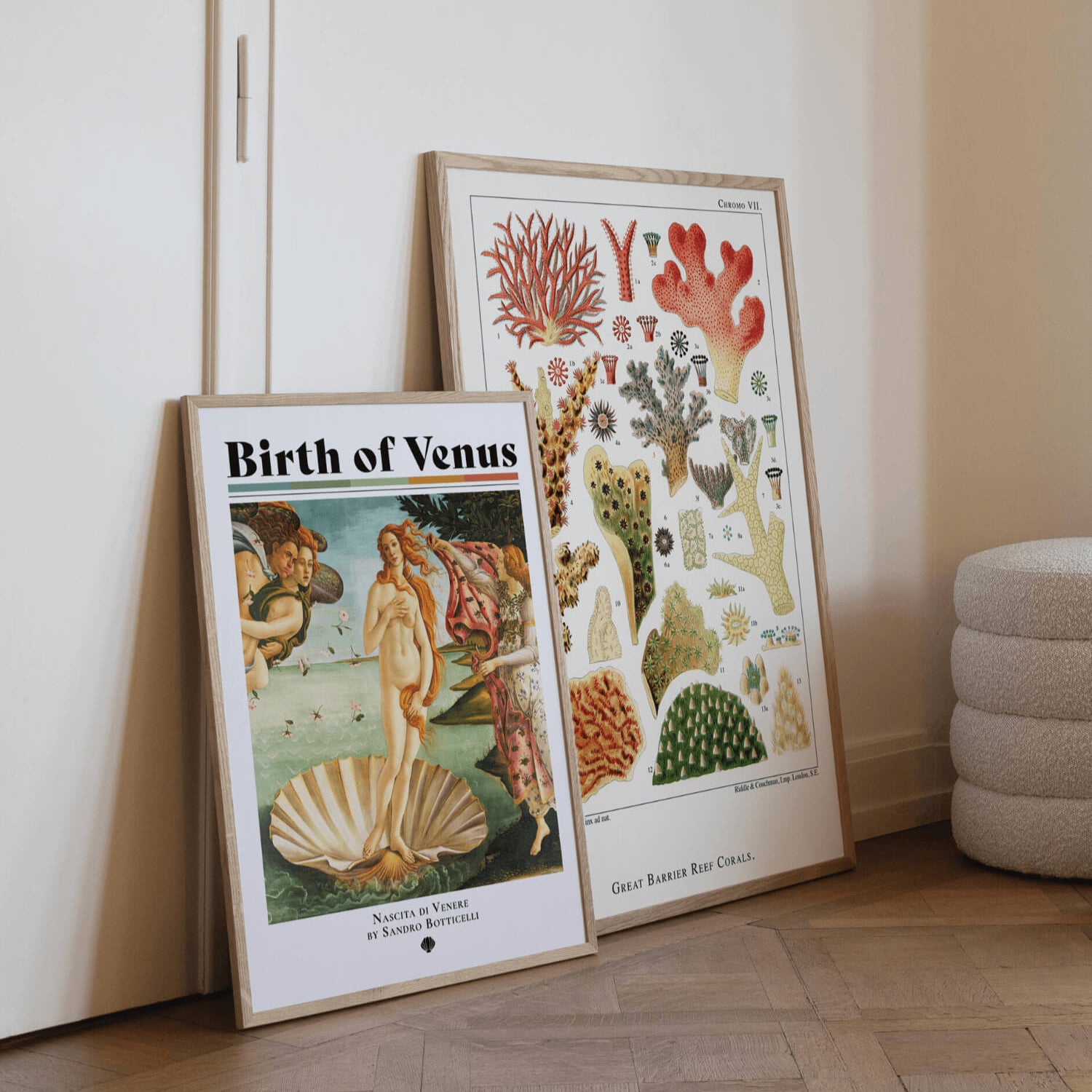 Great Barrier Reef art, coral wall print, marine botanical print, ocean decor Australia, vintage reef illustration, coastal wall art, nautical home decor, marine biology poster, EDGE Wall Art, wall art Australia