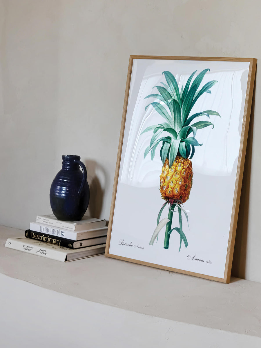 Pineapple by Pierre-Joseph Redouté Print