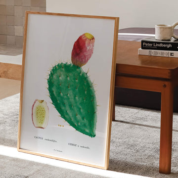 Cochenillifera Cactus