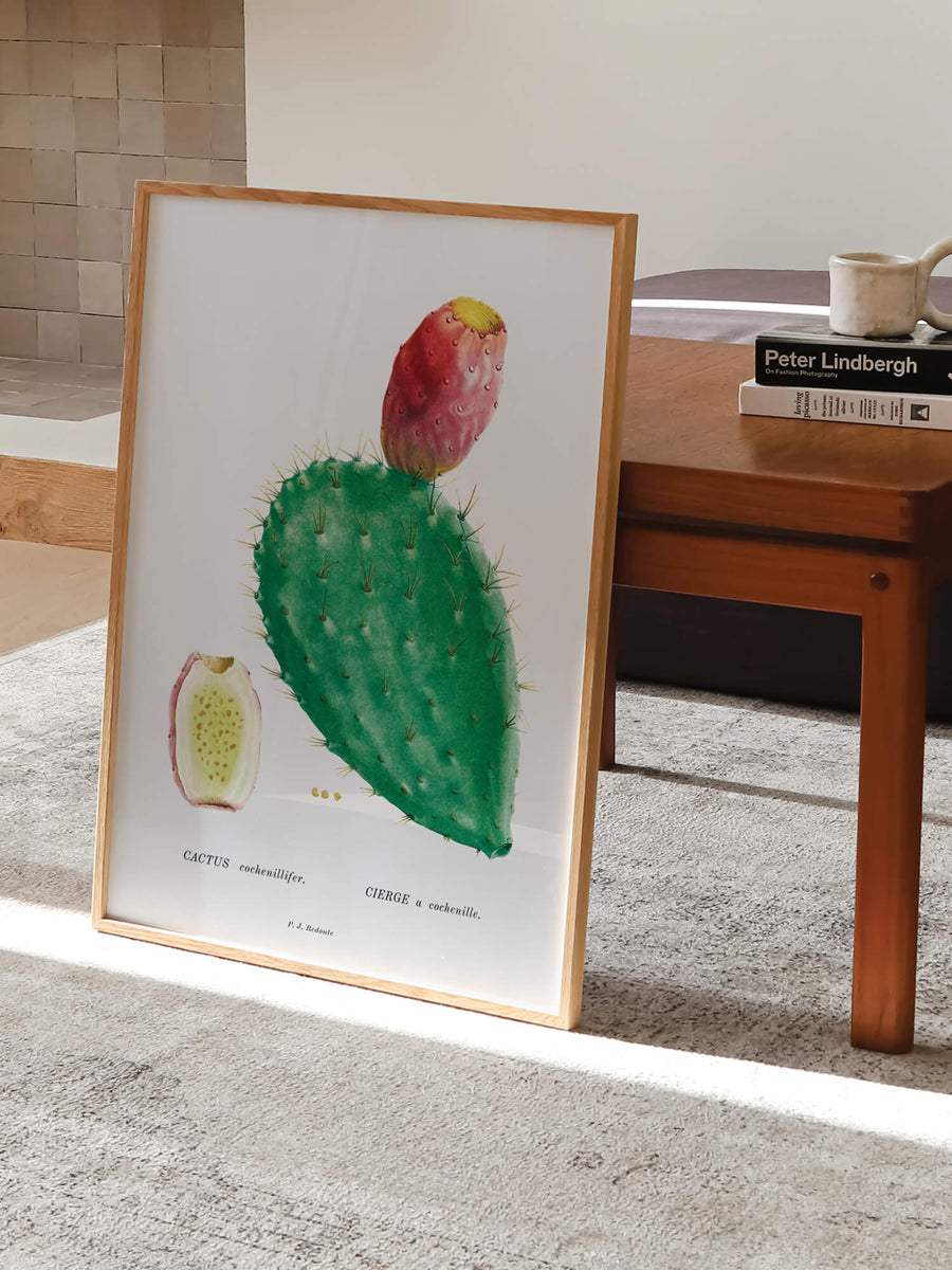 Cochenillifera Cactus by Pierre-Joseph Redouté Print