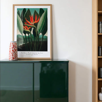 Birds of Paradise Print