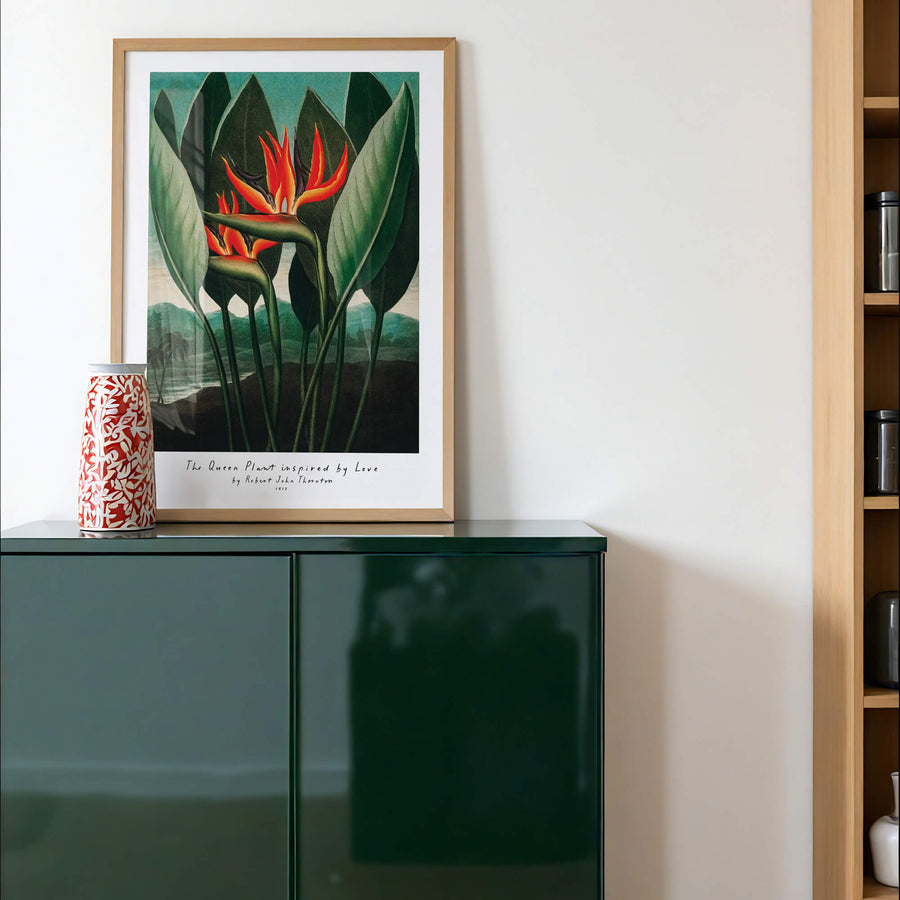 Birds of Paradise Print