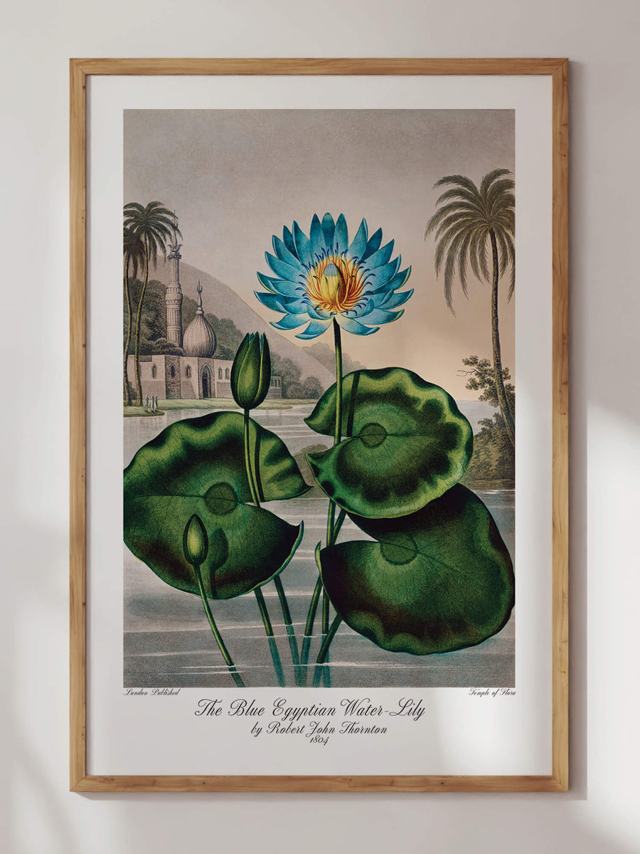 Water-Lily Print