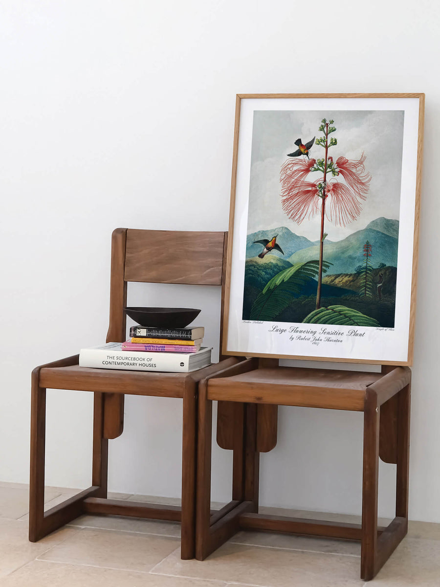 Temple of Flora I Bundle Prints by Robert John Thornton