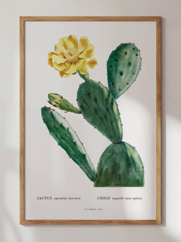 Yellow Cactus by Pierre-Joseph Redouté Print