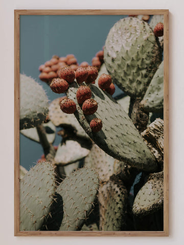Fruit Cactus Print – Close-up of prickly pear cactus with red fruit, bold botanical desert wall art. Get 2PrintsFor$100 that comes with Free Shipping 🚚💫 in Australia.