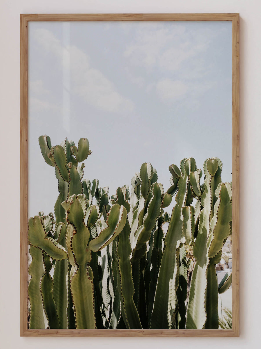Sky Cactus Print – Tall green cacti under a soft blue sky, minimal desert wall art. Get 2PrintsFor$100 that comes with Free Shipping 🚚💫 in Australia.
