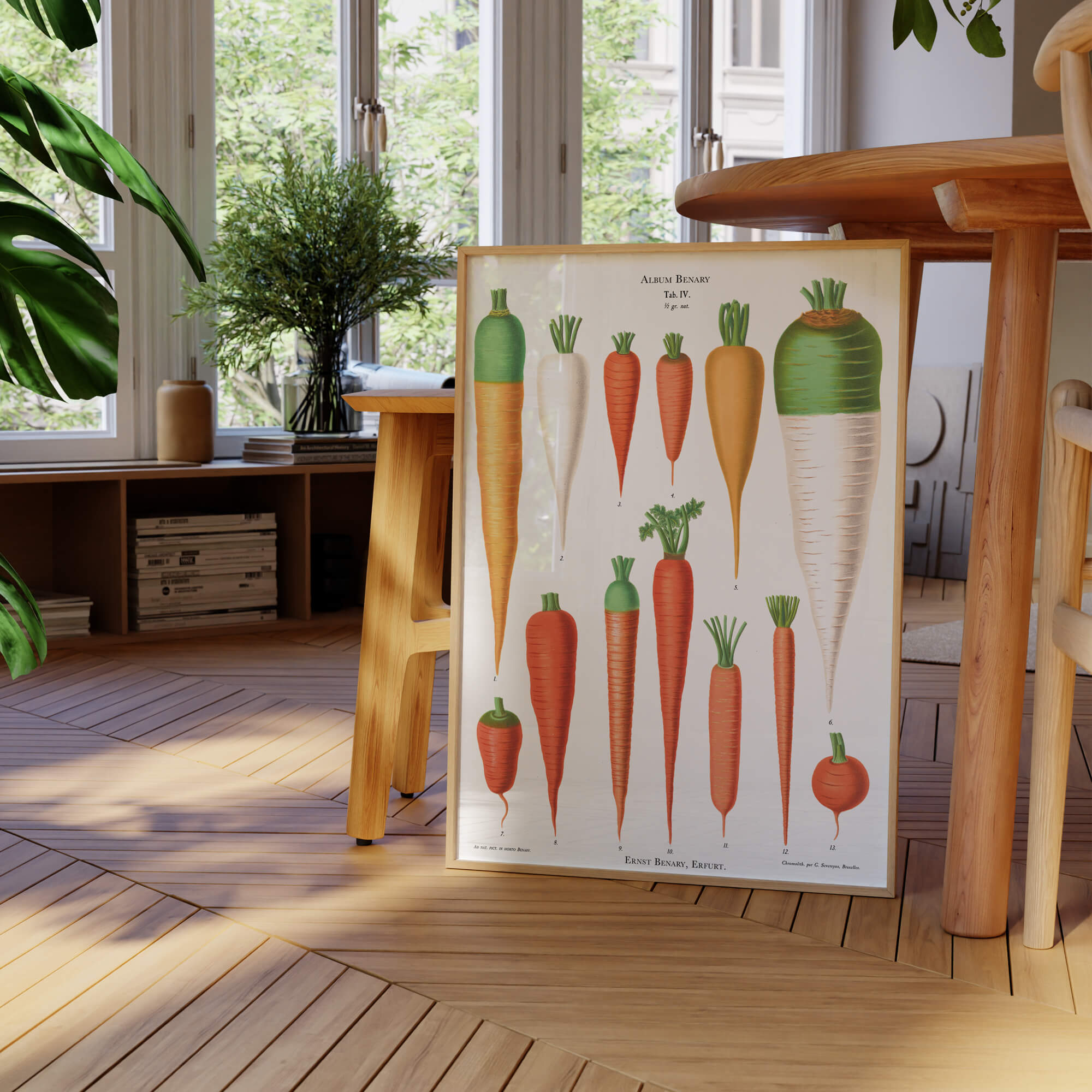 Vintage carrots botanical wall art print with authentic antique imperfections and layout variation. Get 2 Prints for $100 with Free Shipping in Australia.