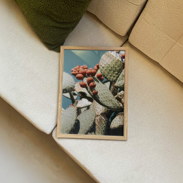 Fruit Cactus Print – Close-up of prickly pear cactus with red fruit, bold botanical desert wall art. Get 2PrintsFor$100 that comes with Free Shipping 🚚💫 in Australia.