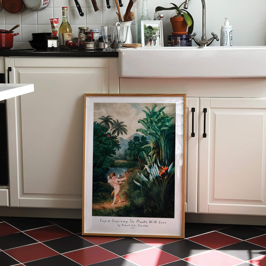 Cupid Inspiring the Plants with Love' by Robert John Thornton – A vintage botanical art print featuring Cupid with vibrant tropical plants and lush greenery, perfect for romantic and nature-inspired interiors. Get 2PrintsFor$100 with Free Shipping 🚚💫 in Australia.