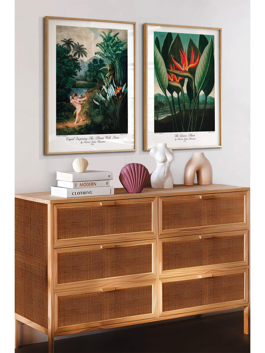 Birds of Paradise Print