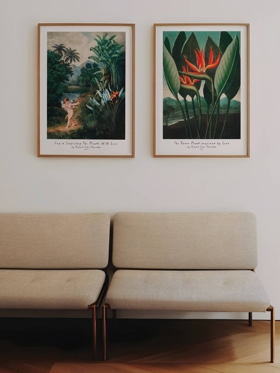 Temple of Flora II Bundle Prints by Robert John Thornton