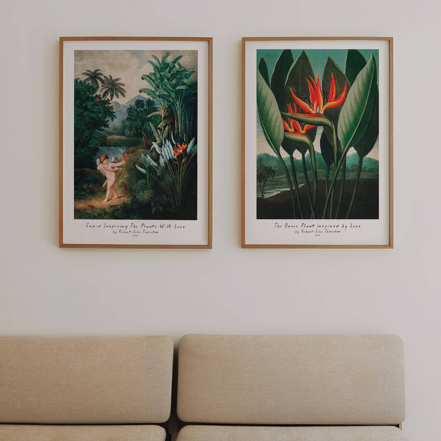 Birds of Paradise Print – A colorful, vintage-inspired wall art featuring tropical floral details, perfect for brightening modern interiors. Get 2PrintsFor$100 with Free Shipping 🚚💫 in Australia.