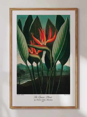 Birds of Paradise Print