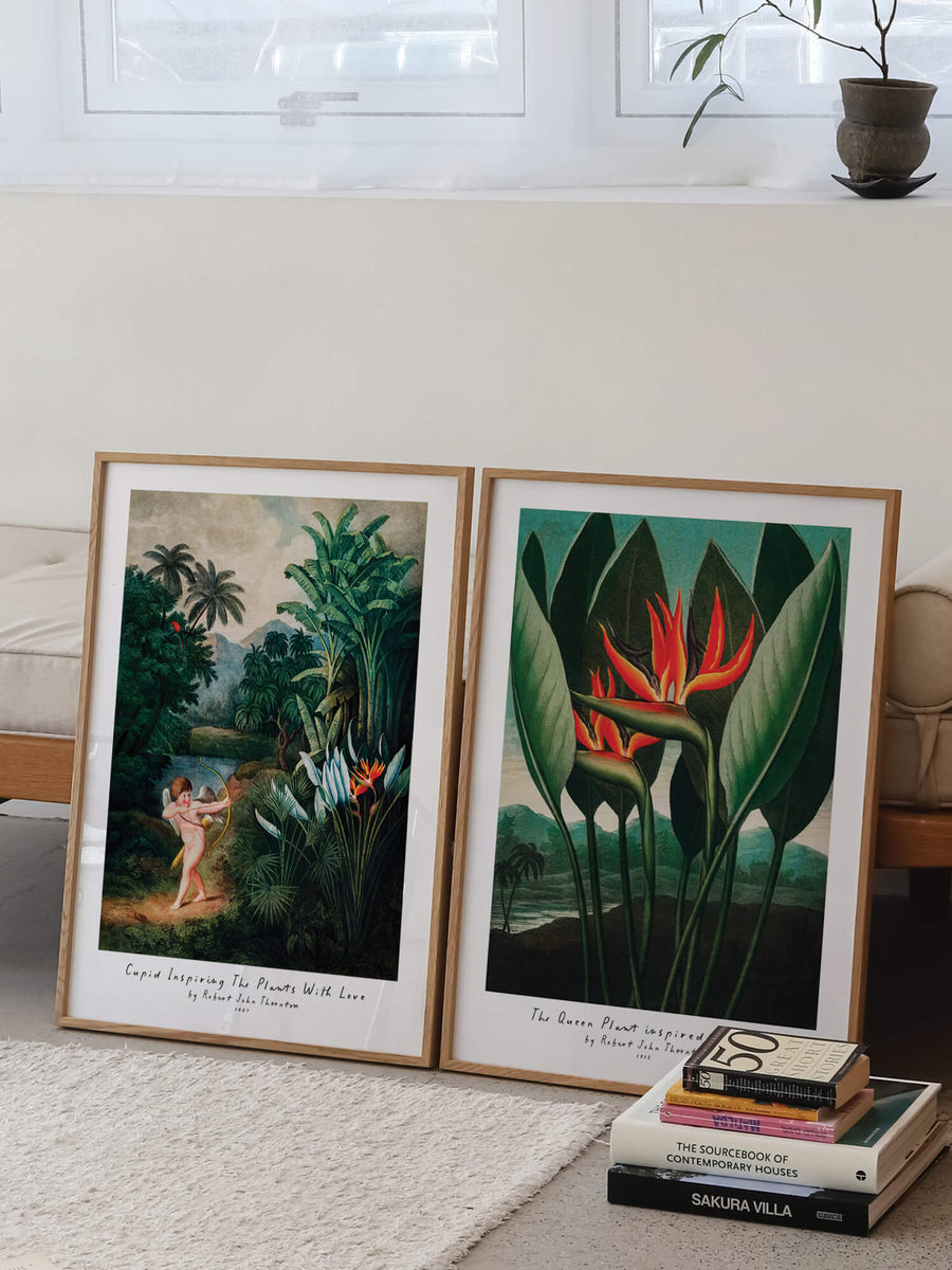 Temple of Flora II Bundle Prints by Robert John Thornton