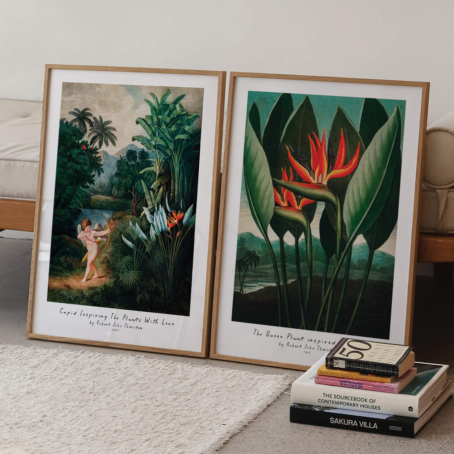 Birds of Paradise Print – A colorful, vintage-inspired wall art featuring tropical floral details, perfect for brightening modern interiors. Get 2PrintsFor$100 with Free Shipping 🚚💫 in Australia.