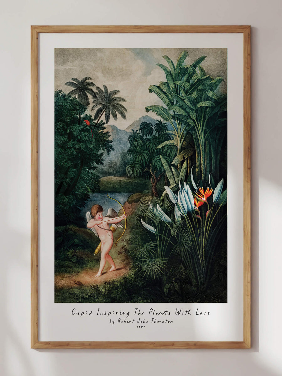 Temple of Flora II Bundle Prints by Robert John Thornton