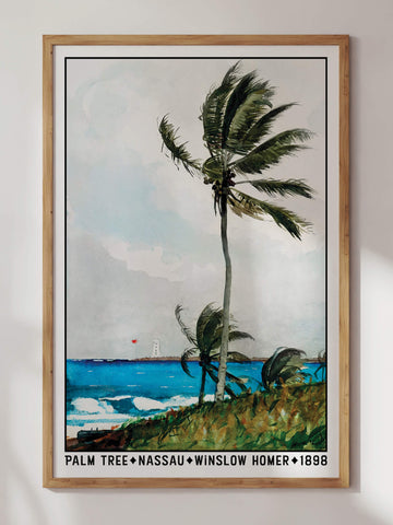Palm Tree, Nassau by Winslow Homer Print