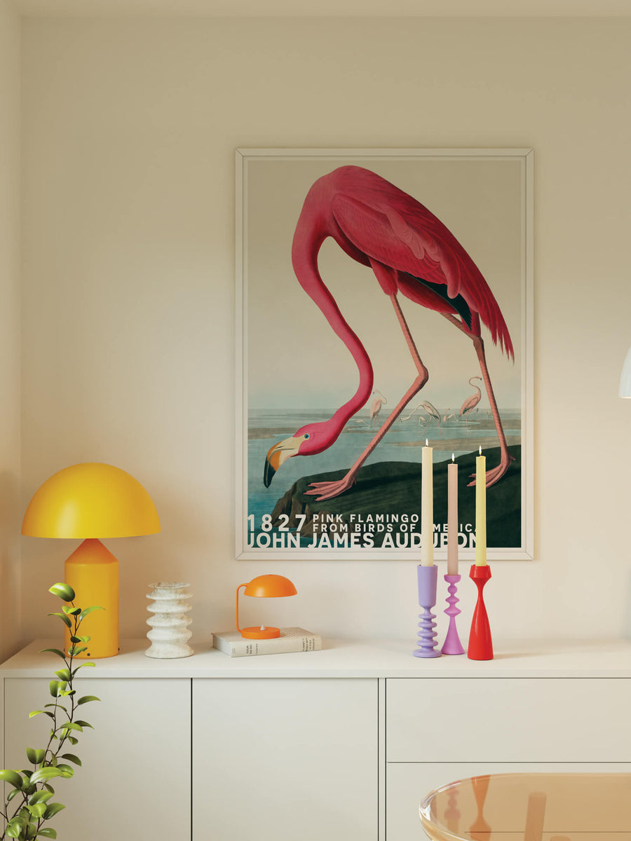 Flamingo by John James Audubon Print