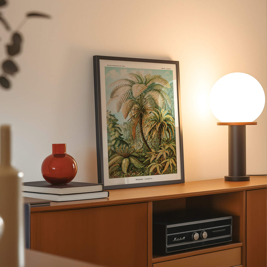 A vintage botanical print featuring lush palm ferns in an intricate scientific illustration. Perfect for tropical, vintage, and boho interiors. Available at EDGE Wall Art with 2PrintsFor$100 and Free Shipping 🚚💫 in Australia.