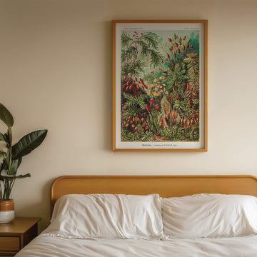 Vintage botanical illustration of mushrooms and mosses from Kunstformen der Natur by Ernst Haeckel. Featuring intricate fungi and plant details in rich earthy tones, this fine art print is perfect for nature-inspired home decor, botanical enthusiasts, and vintage wall art collectors. Available at EDGE Wall Art with Free Shipping in Australia.