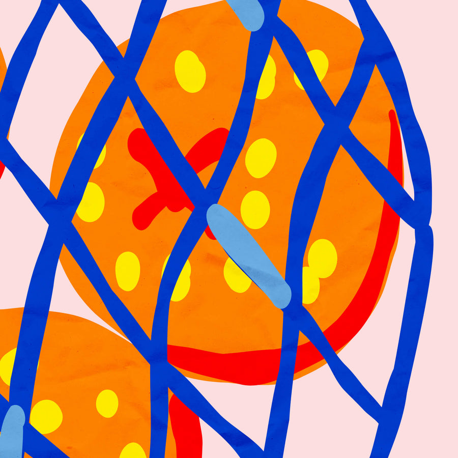 Illustrated Valencia oranges in a blue net bag on pink background – fruity retro kitchen wall art print. Get 2PrintsFor$100 + Free Shipping in Australia.