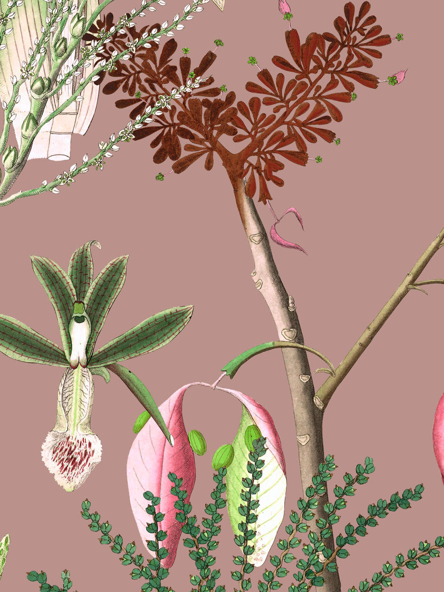 Botanical Dream