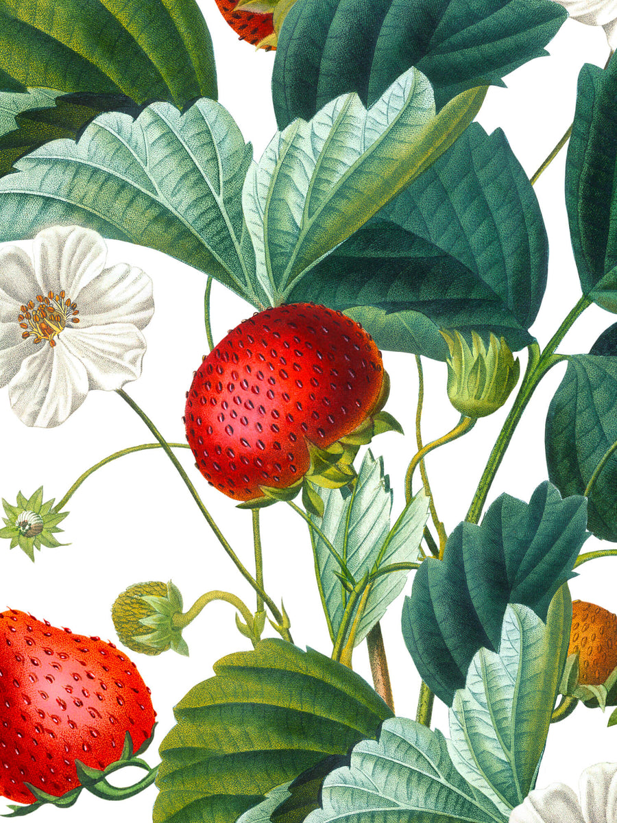 Strawberry Fields Wallpaper