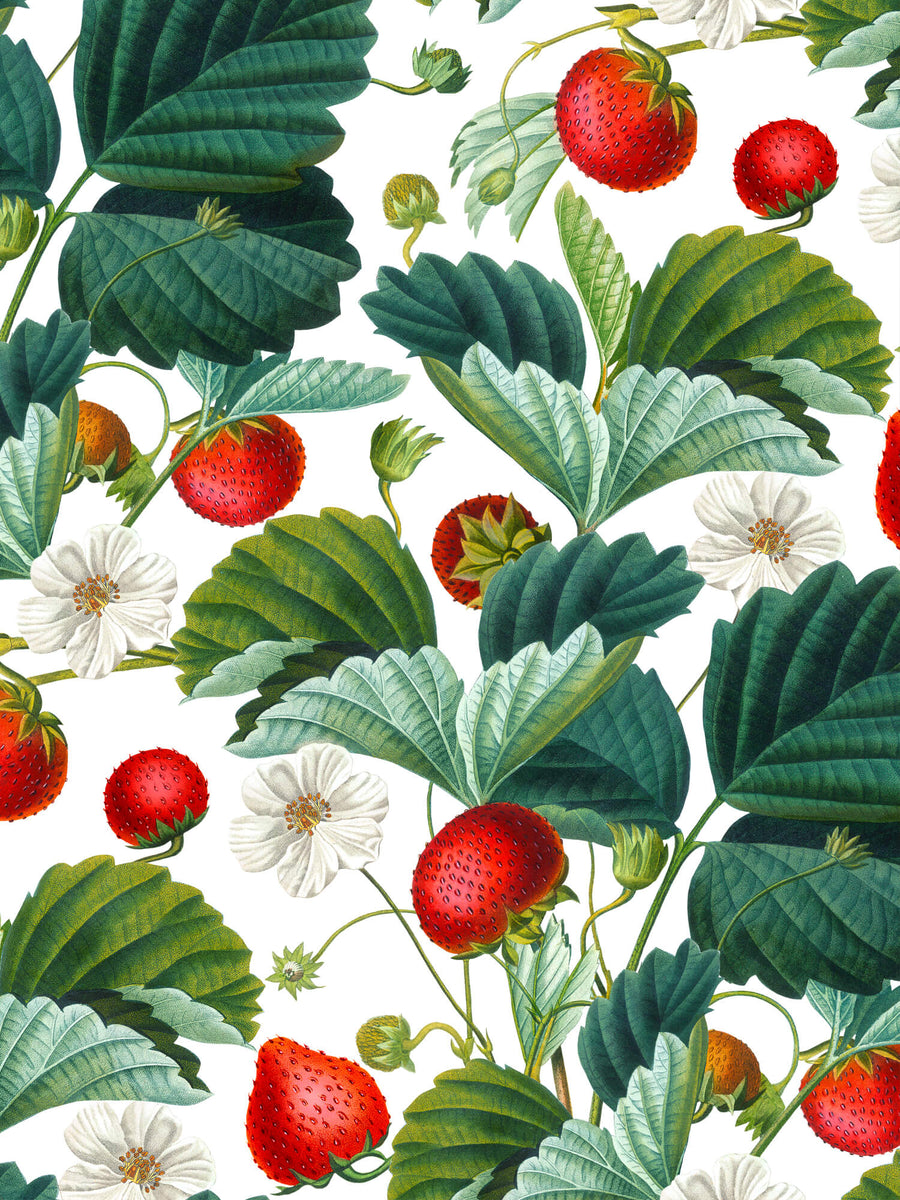 Strawberry Fields Wallpaper