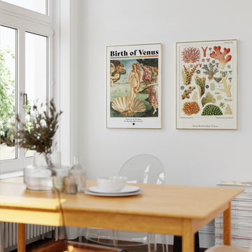 Vintage print bundle featuring the Great Barrier Reef Corals by William Saville-Kent and a Venus Botanical print. Perfect for coastal and botanical-inspired decor. Available at EDGE Wall Art with 2PrintsFor$100 and Free Shipping 🚚💫 in Australia.